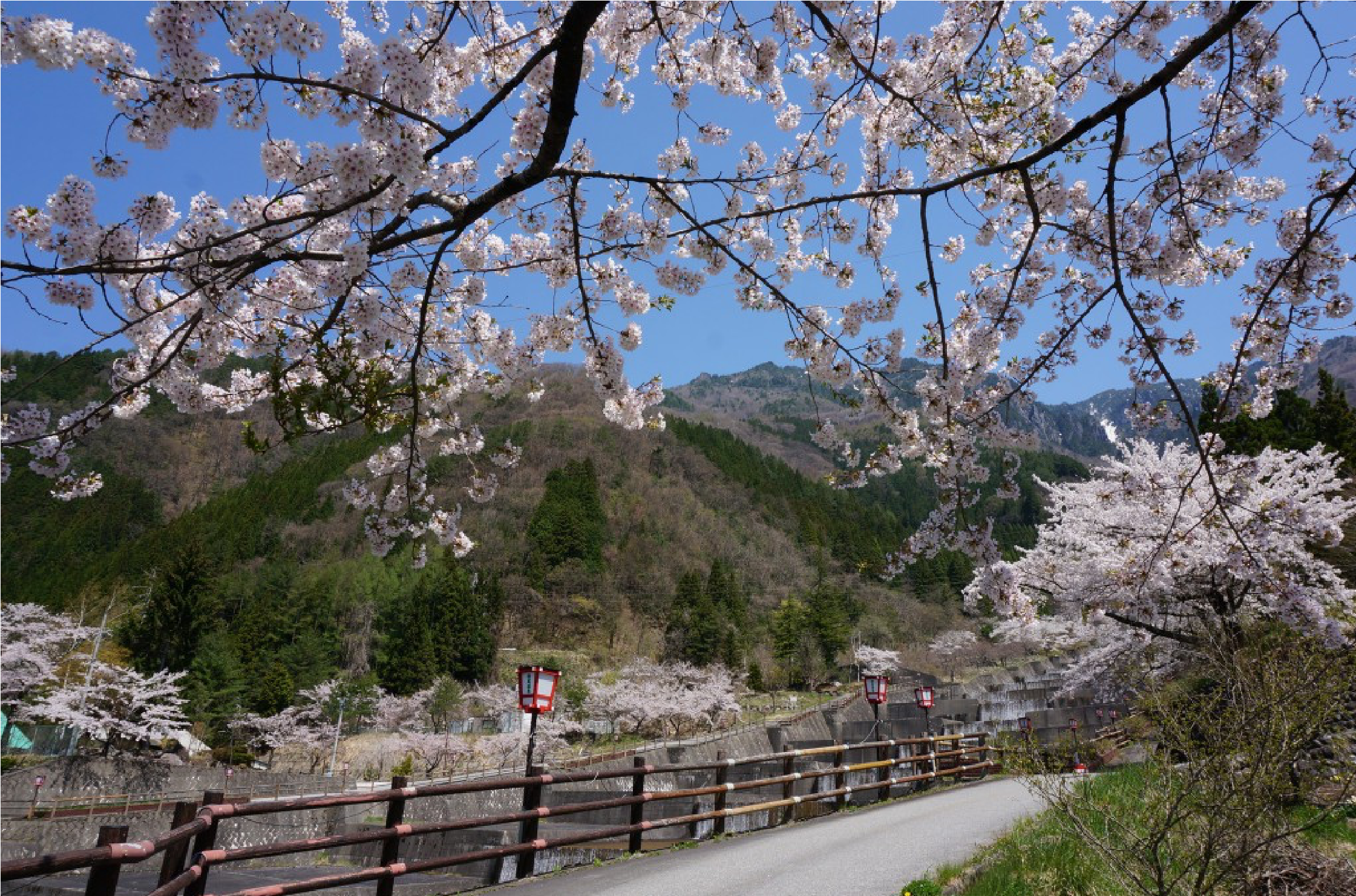 四季のイベント