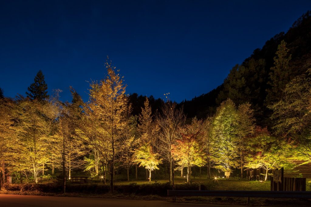 新穂高温泉　中尾高原　紅葉ライトアップ