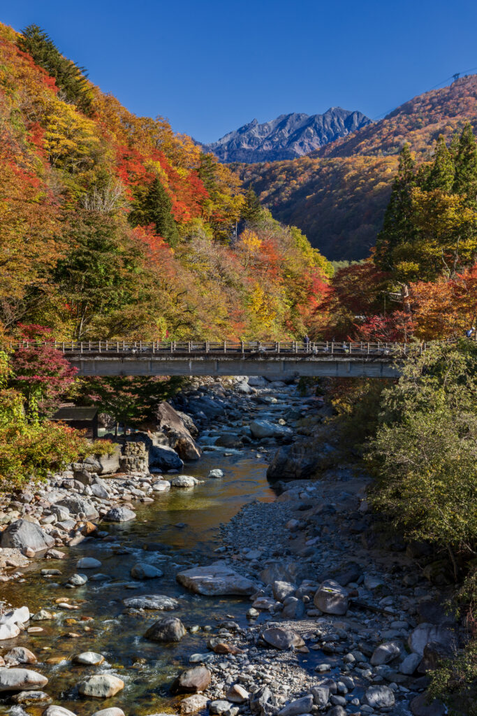 Shinhotaka no Yu 2 Autumn 新穂高の湯2秋
